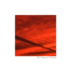 dailyPhoto10